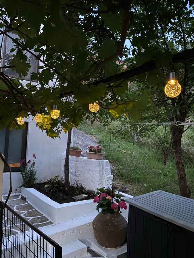Sevastie's - Downstairs Apartment Samothraki